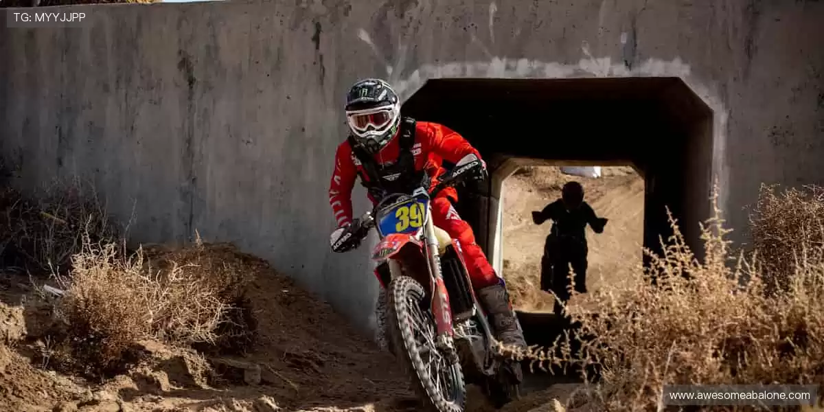 🏃♂️报名参赛,成就你的体育梦想!